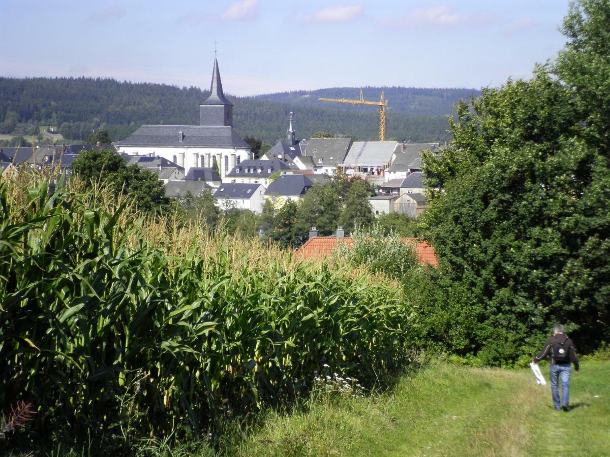 Ferienwohnung Am Weissenstaedter See Weißenstadt 외부 사진